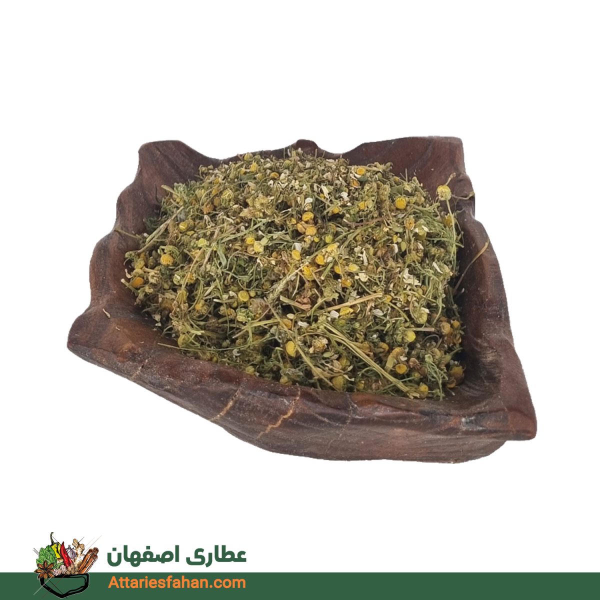 بابونه شیرازی | خرید و قیمت تیر 1405