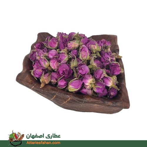 غنچه گل محمدی داراب